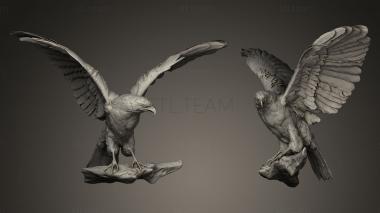 3D model Bird Of Prey (STL)